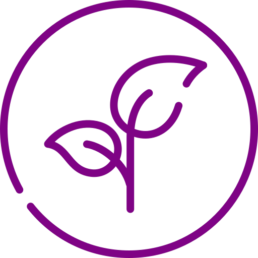 Alt Image